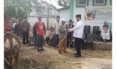 Kwarda Jambi Berkurban 3 Sapi