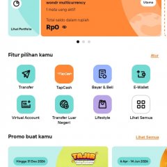 Bni tidak bisa transfer