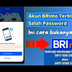 Tips Cara Atasi Lupa PIN  BRImo Dan Password dan Username Untuk Buka Blokir Akun BRImo Tampa ke Bank