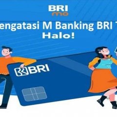 Bantuan Bank BRI