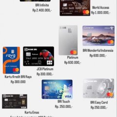 BEGINI solusi cara buka blokir brimo LAYANAN cara buka blokir brimo terblokir