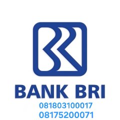 Cara Buka Blokir BRImo Salah Pin 3 Kali atasi Akun BRImo Terblkir cukup lewat hp.