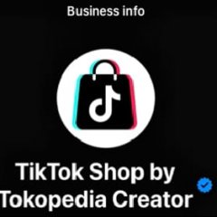 No WhatsApp pusat bantuan TikTok