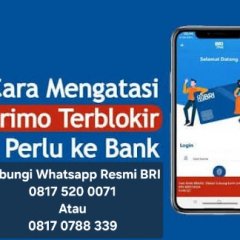 Tata Cara Mudah Atasi lupa Pin BRImo Cukup Lewat Hp, Tanpa ke cabang