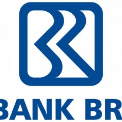 Tips solusi Cara menghapus Annual Fee Kartu Kredit BRI